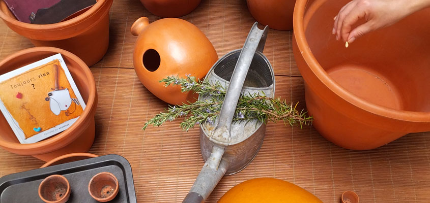 Spectacle famille - Bonne graine